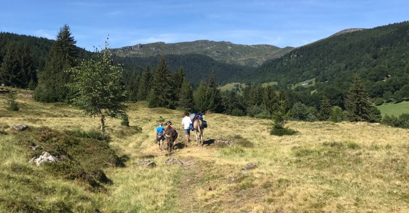 Jusquà 45% De Remise Sur Équitation – Loisir Chez Le Col De La Molède À Cheval Lyon OohN.com Special Offers, Deals & Discounts in France 3