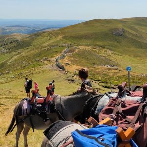 Jusquà 45% De Remise Sur Équitation – Loisir Chez Le Col De La Molède À Cheval Lyon OohN.com Special Offers, Deals & Discounts in France