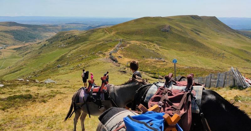 Jusquà 45% De Remise Sur Équitation – Loisir Chez Le Col De La Molède À Cheval Lyon OohN.com Special Offers, Deals & Discounts in France