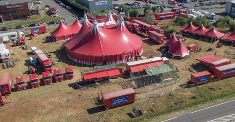 La Magie Du Cirque Revisitée Avec Le Grand Cirque Claudio Zavatta Bordeaux OohN.com Special Offers, Deals & Discounts in France
