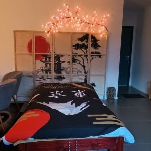 Massage Japonais Crânien (Atama) Chez Stéphanie Energie Shiatsu Perpignan OohN.com Special Offers, Deals & Discounts in France