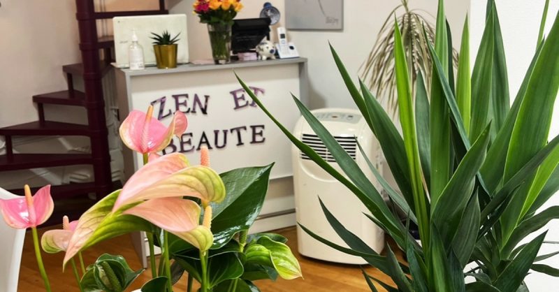 Modelage Minceur Avec Zen Et Beauté Paris OohN.com Special Offers, Deals & Discounts in France 2