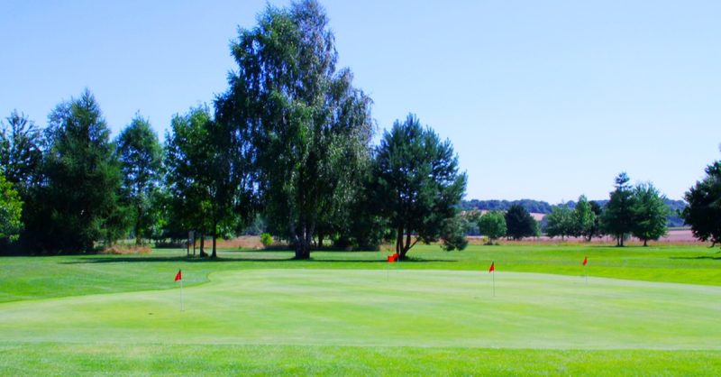 Perfectionner Son Swing ! Saint Germain-en-Laye OohN.com Special Offers, Deals & Discounts in France 3