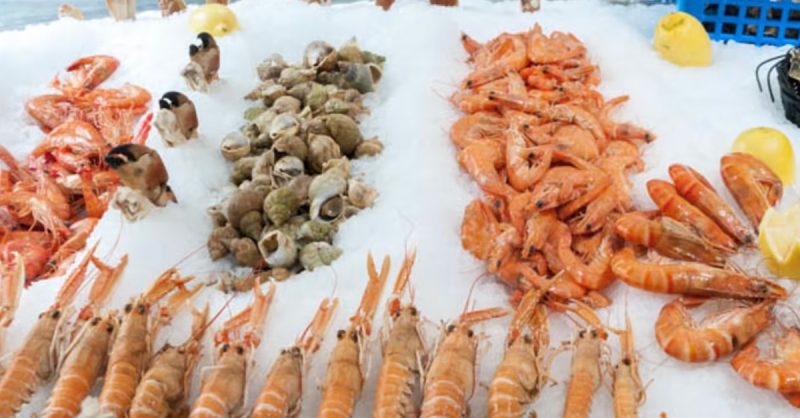 Plateau Fruit De Mer Au Choix Avec Chacha Et Compagnie Rambuteau Paris OohN.com Special Offers, Deals & Discounts in France 2