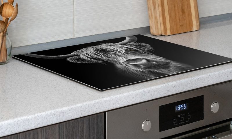 Protégez Vos Plaques À Induction Avec Style ! National Deal OohN.com Special Offers, Deals & Discounts in France