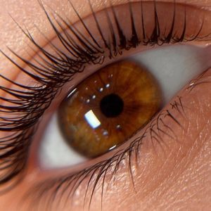 Regard Sublimé Avec Des Cils Galbés Et Des Sourcils Redessinés Marseille OohN.com Special Offers, Deals & Discounts in France