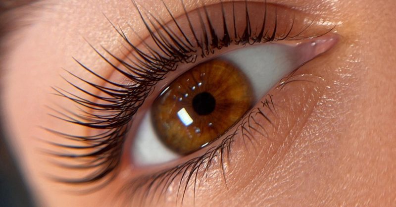 Regard Sublimé Avec Des Cils Galbés Et Des Sourcils Redessinés Marseille OohN.com Special Offers, Deals & Discounts in France