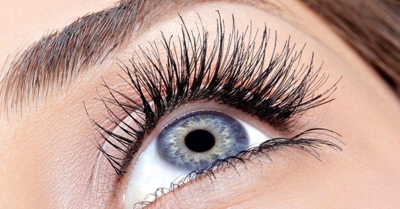 Rehaussement De Cils Avec Lux Ann Bordeaux OohN.com Special Offers, Deals & Discounts in France