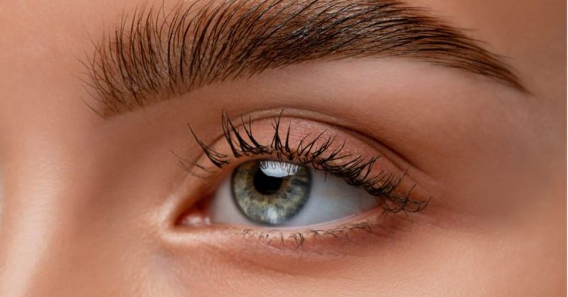 Rehaussement De Cils Ou Ombre Brows Chez Beauté De Soie Fréjus – Saint-Raphaël OohN.com Special Offers, Deals & Discounts in France