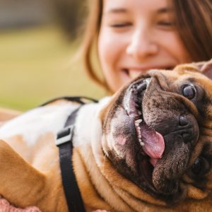 Soins De Santé – Animaux Montpellier OohN.com Special Offers, Deals & Discounts in France