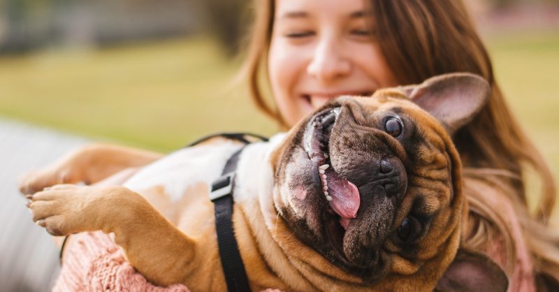 Soins De Santé – Animaux Montpellier OohN.com Special Offers, Deals & Discounts in France