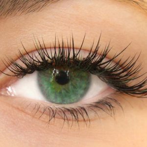 Sublimez Votre Regard Avec Des Cils Parfaits À La Crau Nice OohN.com Special Offers, Deals & Discounts in France