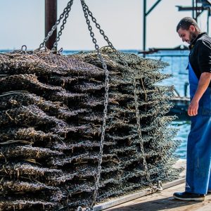 Visite Guidée D’Un Mas Ostréicole Avec Une Découverte Culinaire Montpellier OohN.com Special Offers, Deals & Discounts in France