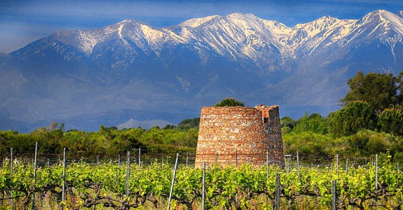 Visite Œnologique Aux Vignobles De Rombeau Perpignan OohN.com Special Offers, Deals & Discounts in France 3