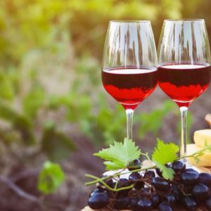 Visite Œnologique Aux Vignobles De Rombeau Perpignan OohN.com Special Offers, Deals & Discounts in France