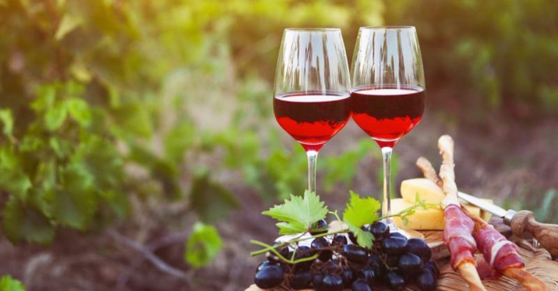 Visite Œnologique Aux Vignobles De Rombeau Perpignan OohN.com Special Offers, Deals & Discounts in France