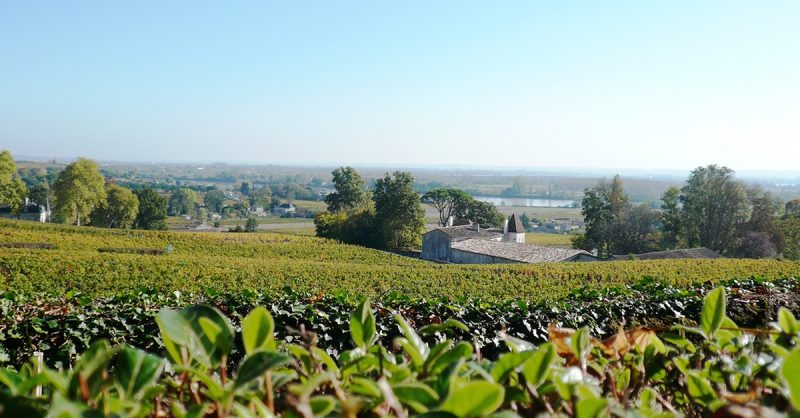 Voyage À Deux Dans Le Temps Et Les Vignes Limoges OohN.com Special Offers, Deals & Discounts in France 2