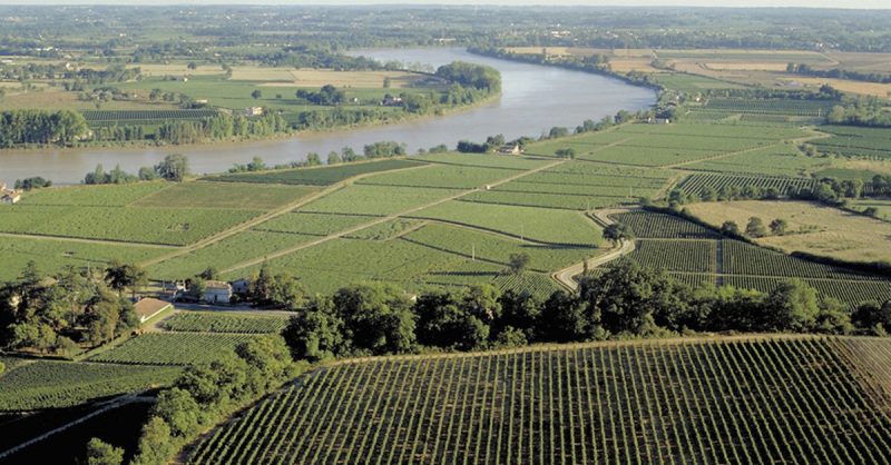 Voyage À Deux Dans Le Temps Et Les Vignes Limoges OohN.com Special Offers, Deals & Discounts in France 3