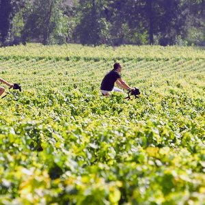 Voyage À Deux Dans Le Temps Et Les Vignes Limoges OohN.com Special Offers, Deals & Discounts in France